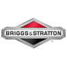 Briggs & Stratton (США)